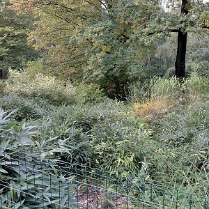 (Walkthrough) crane exhibit