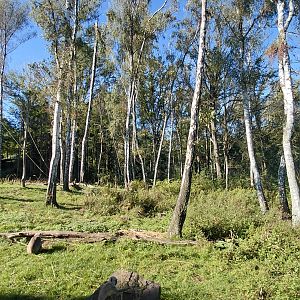 Chitwan - bear+langur exhibit
