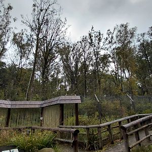 Chitwan - bear+langur exhibit