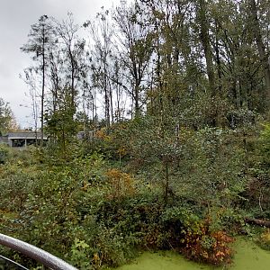 Chitwan - bear+langur exhibit