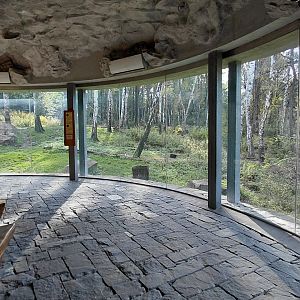 Chitwan - bear+langur exhibit