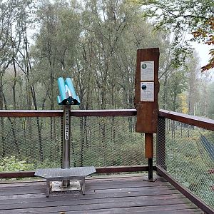 Chitwan - bear+langur exhibit