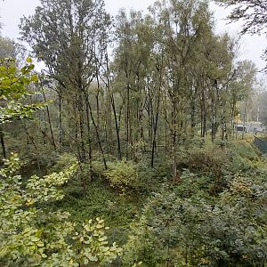 Chitwan - bear+langur exhibit