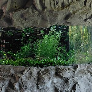 Chitwan - Narayani tank