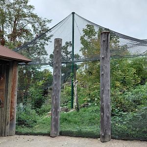 Sumatran tiger outdoor exhibit
