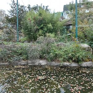 Sumatran tiger outdoor exhibit