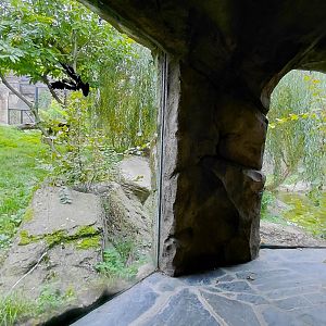 Tiger outdoor exhibit - viewing area