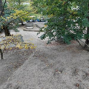Patagonian mara exhibit