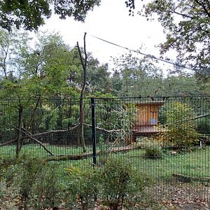 Indochinese green peafowl aviary