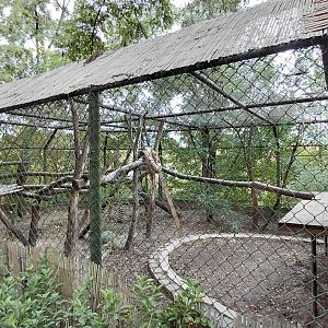 Former leopard exhibit