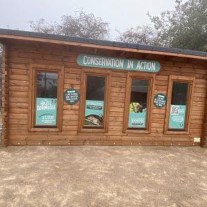 Former harvest mouse and dormouse house