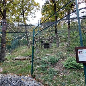 Ruffed lemur exhibit