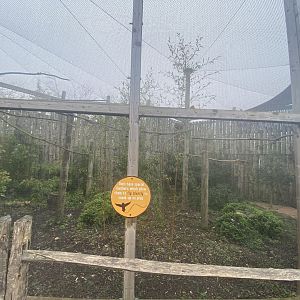 Verreaux’s eagle owl aviary