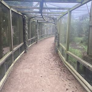 Bird aviary