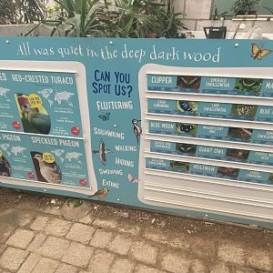 Butterfly and bird walkthrough signage