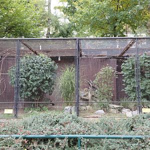 Oystercatcher + roller aviary