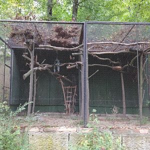 Empty macaw aviary