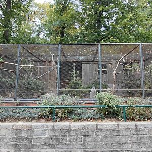 Parrot + tinamou aviary