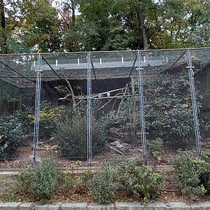 Pigeon + pheasant aviary