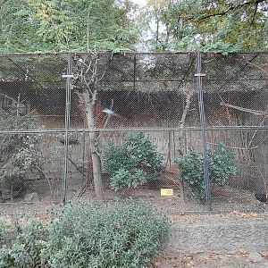 Mixed species aviary