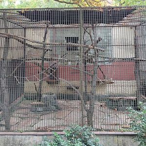 Black lemur cage