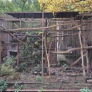 Fishing cat cage