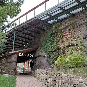 Gelada + rock hyrax exhibit