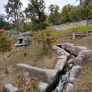 Gelada + rock hyrax exhibit