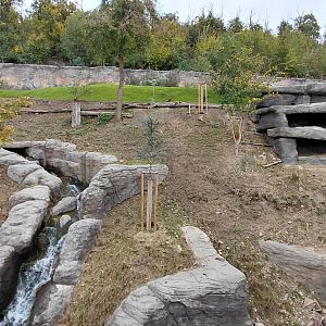Gelada + rock hyrax exhibit