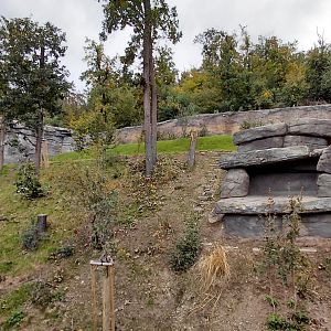 Gelada + rock hyrax exhibit