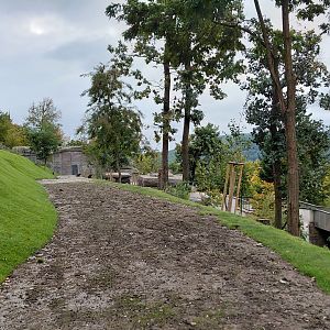Gelada + rock hyrax exhibit