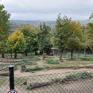 Père David's deer exhibit
