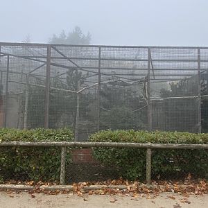 Red fronted macaw aviary
