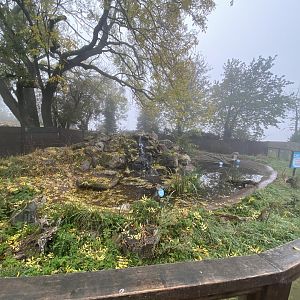 European pond turtle enclosure