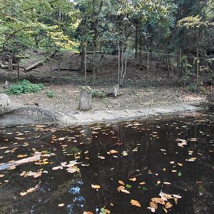 Beaver outdoor exhibit