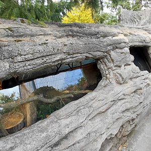 Aesculepian snake exhibit