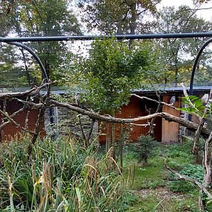 Great grey owl aviary