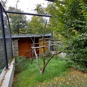 Great horned owl aviary