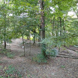 Red-crowned crane exhibit