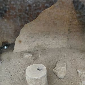 Meerkat indoor exhibit