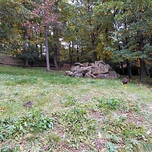 Wallaby (walkthrough) exhibit