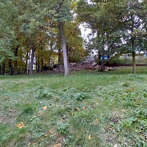 Wallaby (walkthrough) exhibit