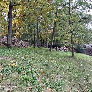 Wallaby (walkthrough) exhibit