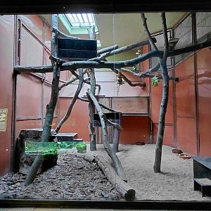 Exotarium - Possum + woylie exhibit