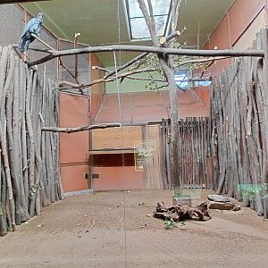 Exotarium - Cockatoo indoor exhibit