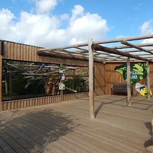 Capuchin Climb - Yellow-breasted capuchin exhibit 110925