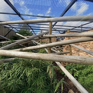 Capuchin Climb - Yellow-breasted capuchin exhibit 110925