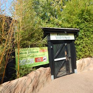Rainforest Walkthrough entrance 110925