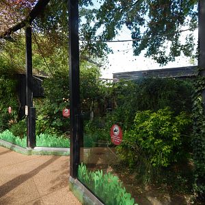 Rainforest Walkthrough 110925