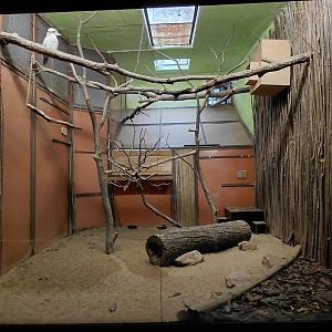 Exotarium - Kookaburra indoor exhibit